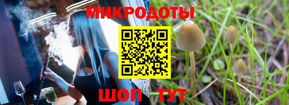 Галлюциногенные грибы MAGIC MUSHROOMS Балтийск