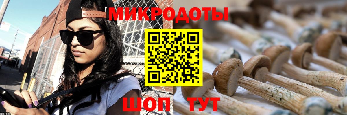 Балтийск  Галлюциногенные грибы прущие грибы  Вход с VPN 